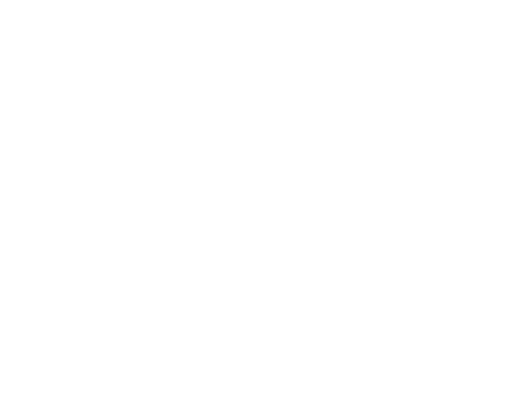 AO white logo
